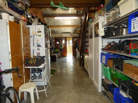 photo no. 11