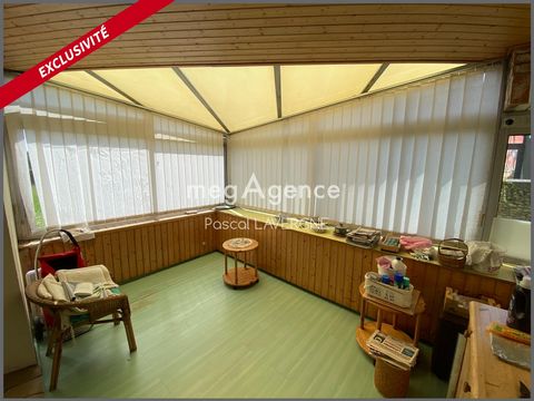 photo no. 7