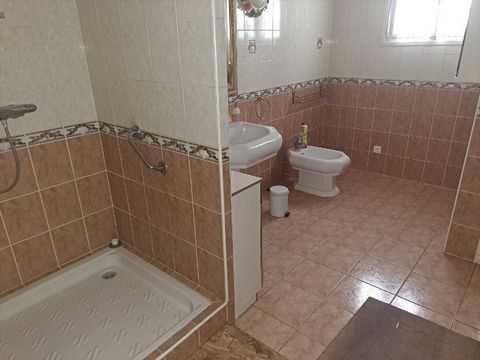 photo no. 11