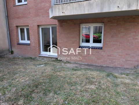 photo no. 6