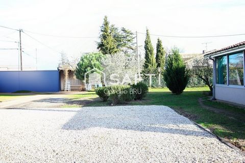 photo no. 4