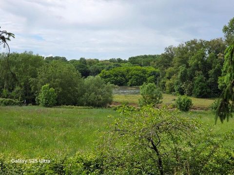 photo no. 10