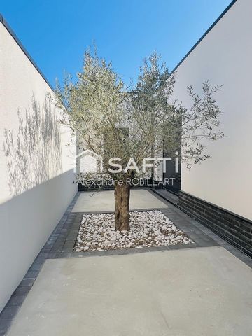 photo no. 6