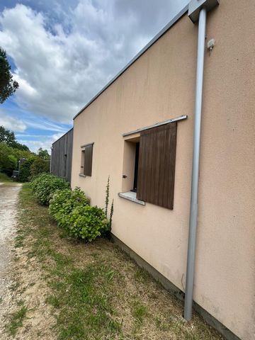 photo no. 16