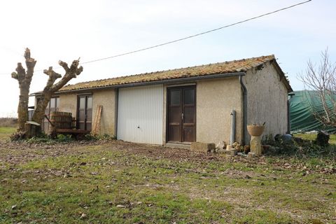 photo no. 16