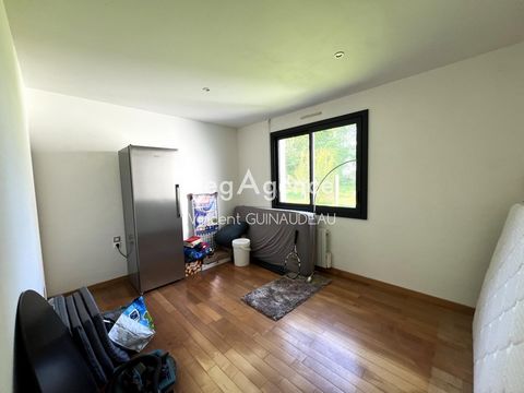 photo no. 9