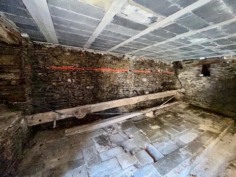 photo no. 15