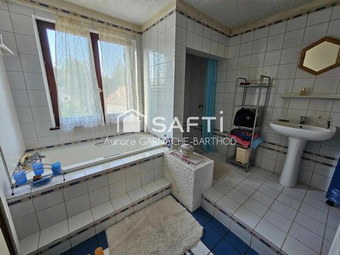 photo no. 10