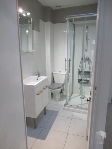 photo no. 6