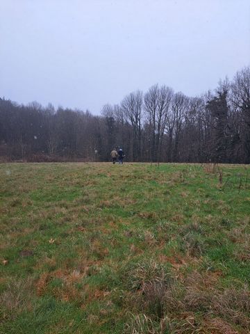 photo no. 3