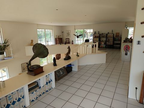 photo no. 14