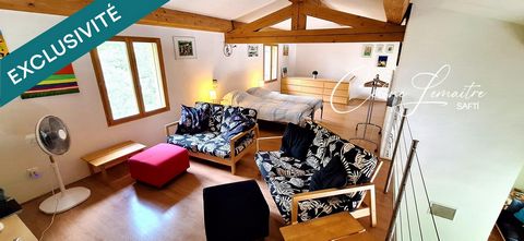 photo no. 13