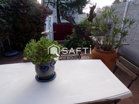 photo no. 8