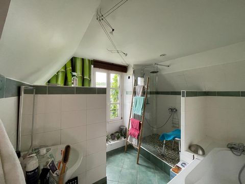 photo no. 15