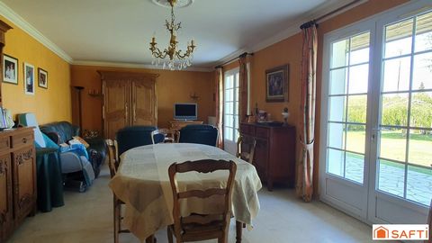 photo no. 5