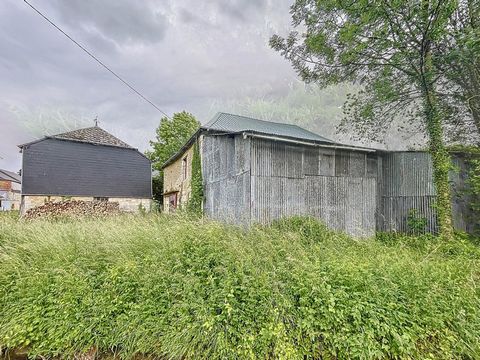 photo no. 7