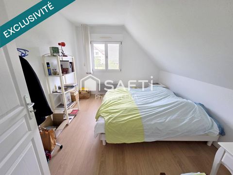 photo no. 11
