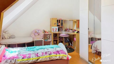 photo no. 13