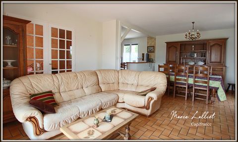 photo no. 2