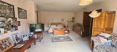 photo no. 14