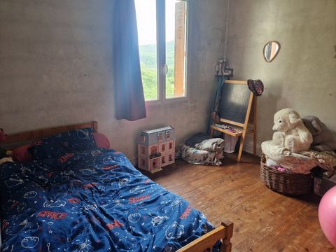 photo no. 7