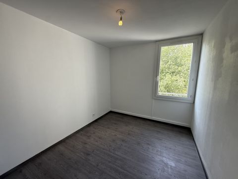 photo no. 4