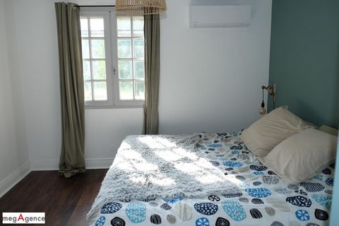 photo no. 11