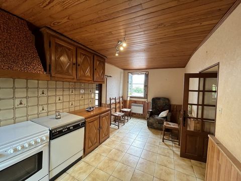 photo no. 13