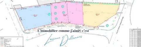 photo no. 2