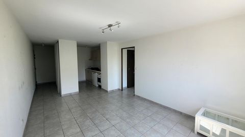 photo no. 2