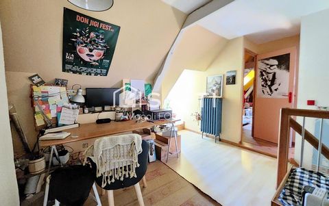 photo no. 9