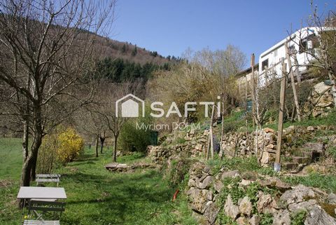 photo no. 7
