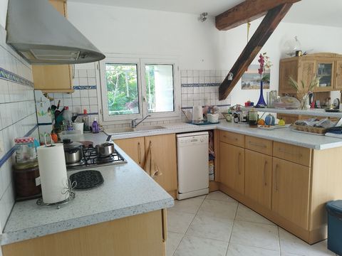 photo no. 12