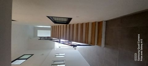 photo no. 3