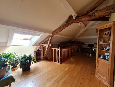 photo no. 20