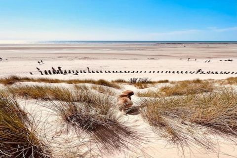 Cette maison est une maison de plage indépendante avec 4 chambres à coucher et peut accueillir un maximum de 6 personnes. La maison dispose d'un living spacieux avec un coin salon, un coin repas et des portes-fenêtres donnant sur la terrasse et le ja...