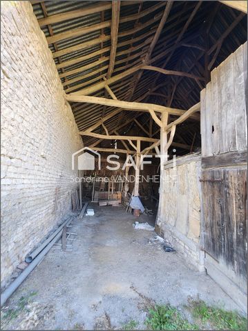 photo no. 3