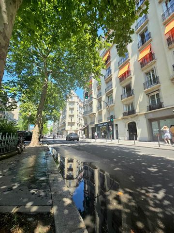 photo no. 14
