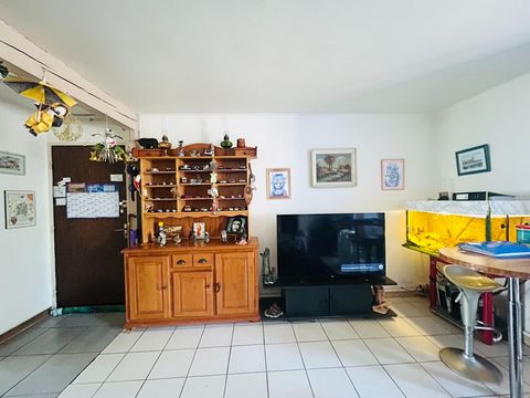 photo no. 2