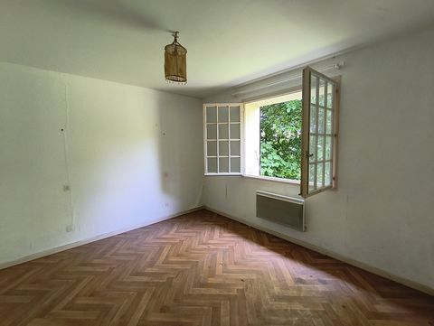 photo no. 5