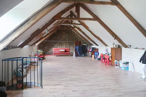 photo no. 7