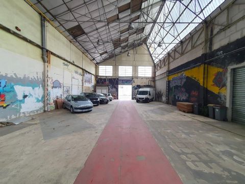 photo no. 6