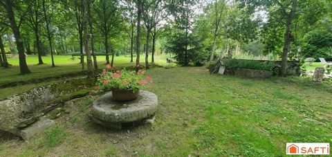 photo no. 6