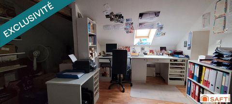 photo no. 12