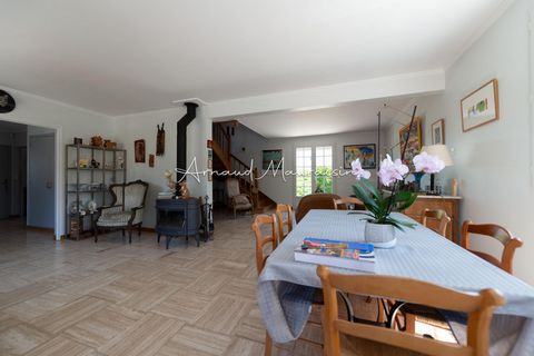 photo no. 3
