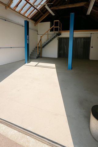 photo no. 6