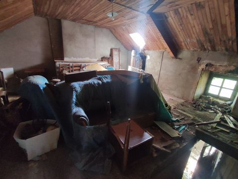 photo no. 10