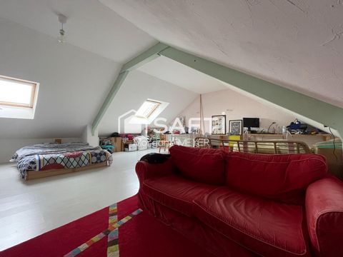 photo no. 9