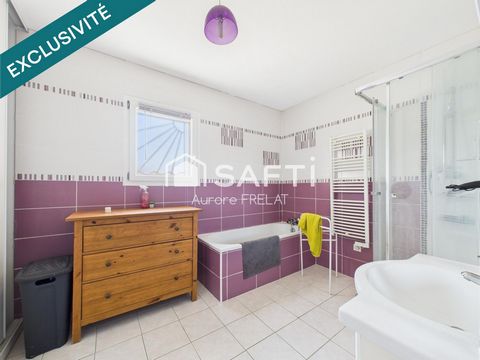 photo no. 13