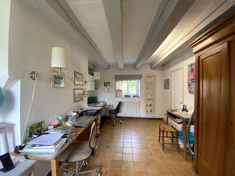 photo no. 7
